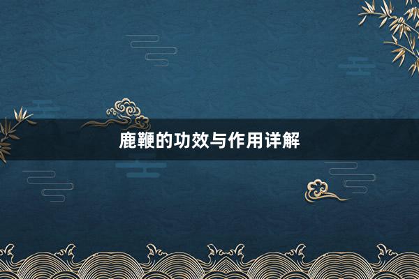 鹿鞭的功效与作用详解