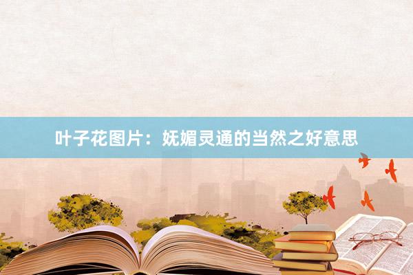 叶子花图片：妩媚灵通的当然之好意思