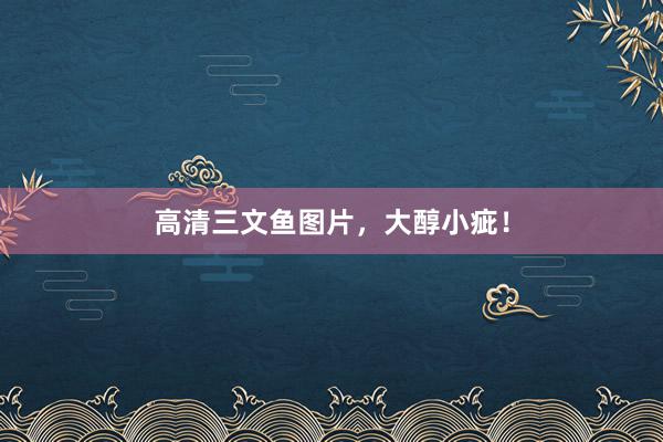 高清三文鱼图片，大醇小疵！